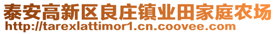 泰安高新區良莊鎮業田家庭農場