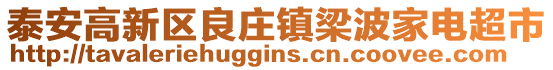 泰安高新區(qū)良莊鎮(zhèn)梁波家電超市