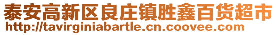 泰安高新區良莊鎮勝鑫百貨超市