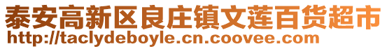 泰安高新區良莊鎮文蓮百貨超市
