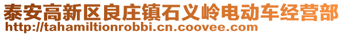 泰安高新區(qū)良莊鎮(zhèn)石義嶺電動車經(jīng)營部