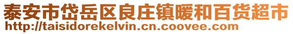 泰安市岱岳區良莊鎮暖和百貨超市