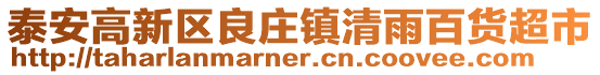 泰安高新區良莊鎮清雨百貨超市