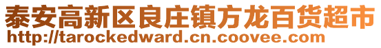 泰安高新區良莊鎮方龍百貨超市