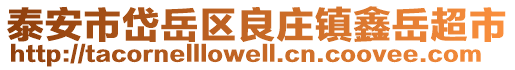 泰安市岱岳區良莊鎮鑫岳超市