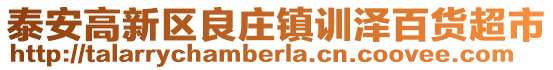 泰安高新區良莊鎮訓澤百貨超市