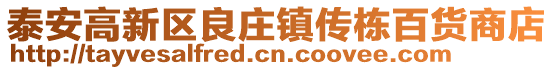 泰安高新區良莊鎮傳棟百貨商店