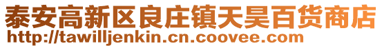 泰安高新區良莊鎮天昊百貨商店