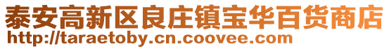 泰安高新區(qū)良莊鎮(zhèn)寶華百貨商店