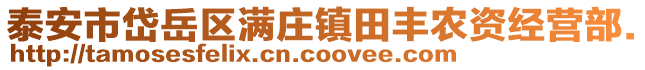 泰安市岱岳區滿莊鎮田豐農資經營部.
