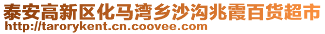 泰安高新區化馬灣鄉沙溝兆霞百貨超市