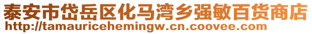 泰安市岱岳區化馬灣鄉強敏百貨商店
