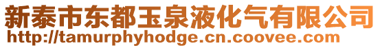 新泰市東都玉泉液化氣有限公司