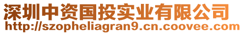 深圳中資國(guó)投實(shí)業(yè)有限公司