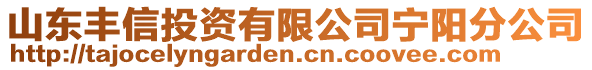 山東豐信投資有限公司寧陽分公司