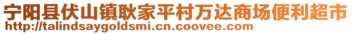 寧陽縣伏山鎮(zhèn)耿家平村萬達商場便利超市