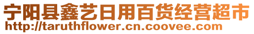 寧陽縣鑫藝日用百貨經(jīng)營超市