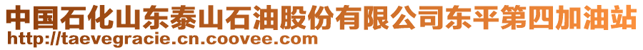 中國石化山東泰山石油股份有限公司東平第四加油站