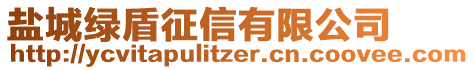 鹽城綠盾征信有限公司