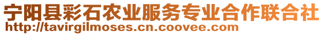 寧陽縣彩石農(nóng)業(yè)服務專業(yè)合作聯(lián)合社