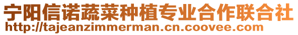 宁阳信诺蔬菜种植专业合作联合社