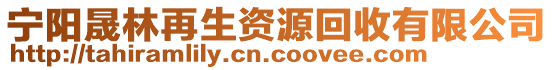 寧陽晟林再生資源回收有限公司