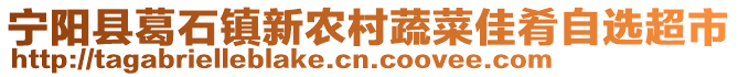 宁阳县葛石镇新农村蔬菜佳肴自选超市