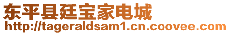 東平縣廷寶家電城