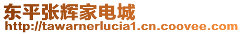 東平張輝家電城