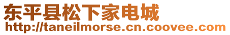 東平縣松下家電城