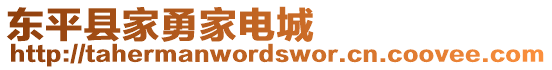 東平縣家勇家電城