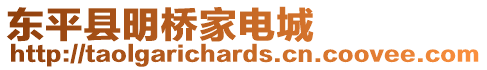 東平縣明橋家電城