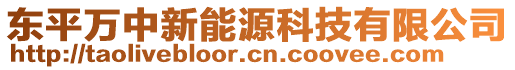 東平萬中新能源科技有限公司