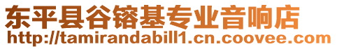 東平縣谷镕基專業(yè)音響店