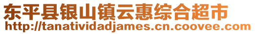 東平縣銀山鎮(zhèn)云惠綜合超市