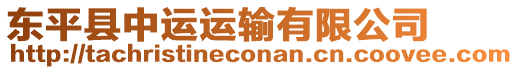 東平縣中運運輸有限公司