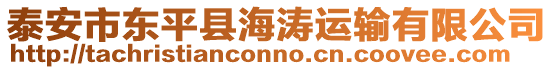 泰安市東平縣海濤運輸有限公司