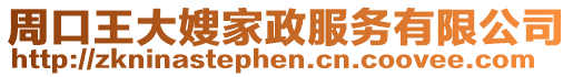 周口王大嫂家政服務有限公司