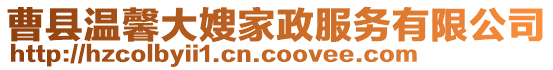 曹縣溫馨大嫂家政服務有限公司