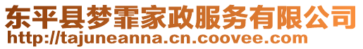 東平縣夢霏家政服務(wù)有限公司