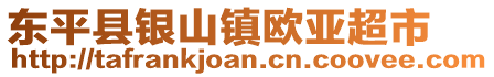 东平县银山镇欧亚超市