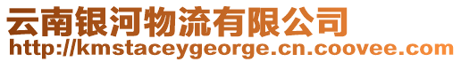 云南銀河物流有限公司