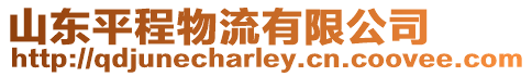 山東平程物流有限公司