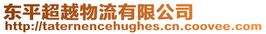 東平超越物流有限公司