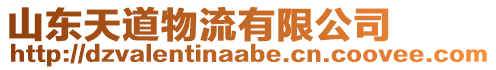 山東天道物流有限公司
