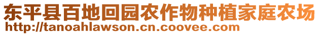東平縣百地回園農作物種植家庭農場