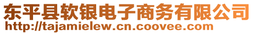 東平縣軟銀電子商務有限公司