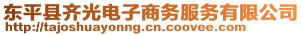 東平縣齊光電子商務服務有限公司