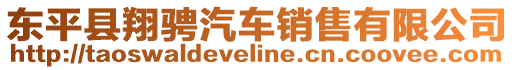 東平縣翔騁汽車銷售有限公司