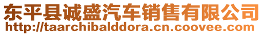 東平縣誠盛汽車銷售有限公司